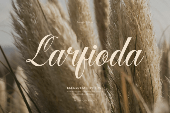 Larfioda: A Sophisticated Script Typeface for Brands