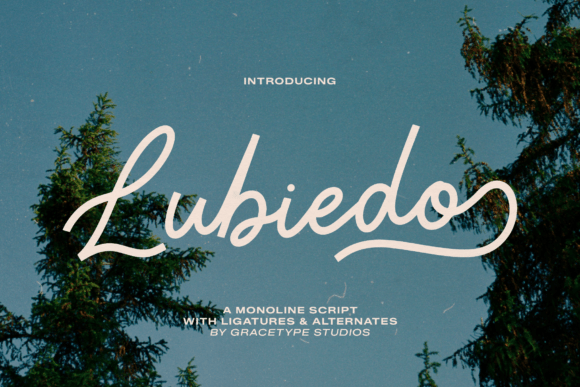 Lubiedo: A Timeless Monoline Script for Makers