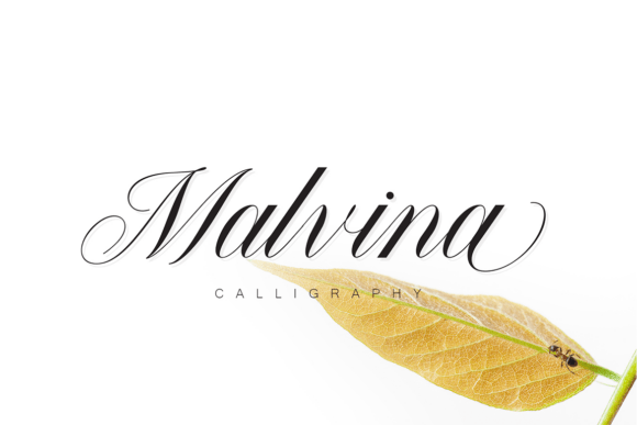 Malvina: A Timeless Script Font for Elegant Editorial Design