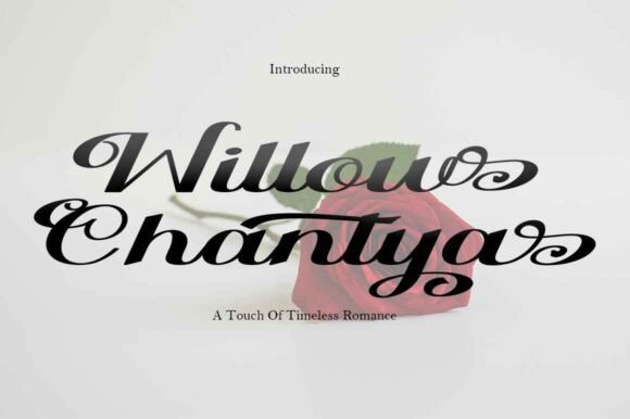 Willow Chantya Typeface for Editorial Design